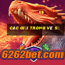 các giải trong vé số