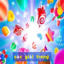 các giải trong vé số