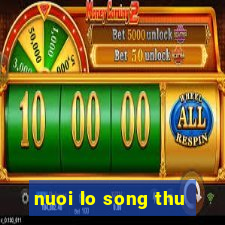 nuoi lo song thu