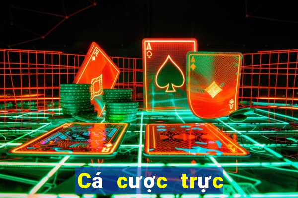 Cá cược trực tuyến vic club