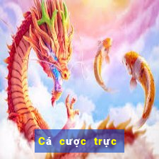 Cá cược trực tuyến vic club