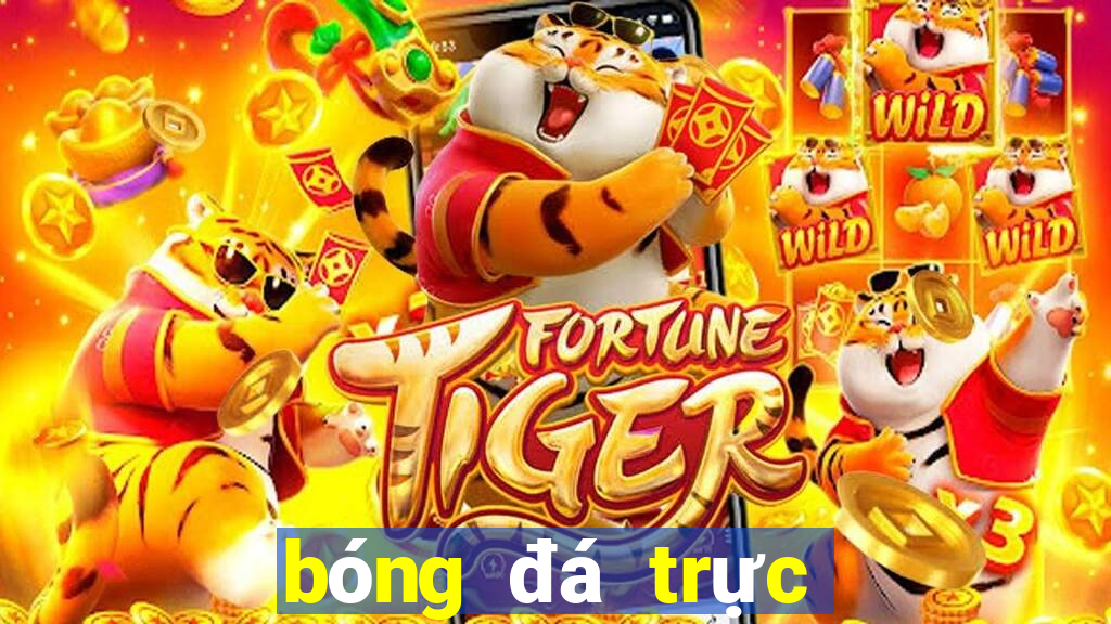 bóng đá trực tiếp vtv5