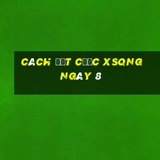 Cách đặt cược XSQNG ngày 8