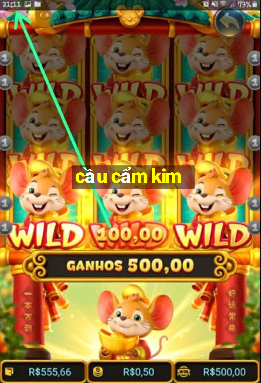 cầu cẩm kim