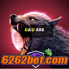 câu 888