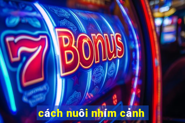 cách nuôi nhím cảnh