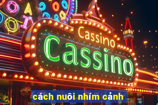 cách nuôi nhím cảnh