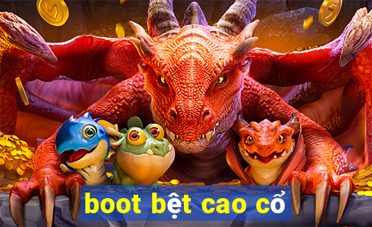 boot bệt cao cổ