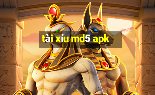 tài xỉu md5 apk