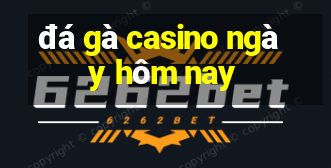 đá gà casino ngày hôm nay