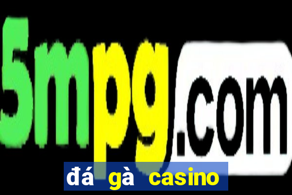 đá gà casino ngày hôm nay