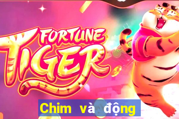 Chim và động vật trực tuyến