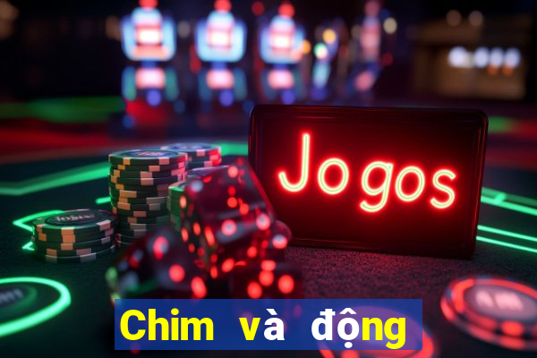 Chim và động vật trực tuyến