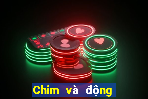 Chim và động vật trực tuyến