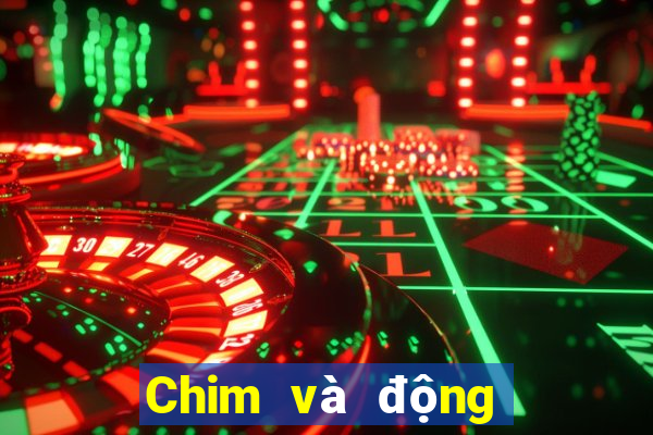 Chim và động vật trực tuyến