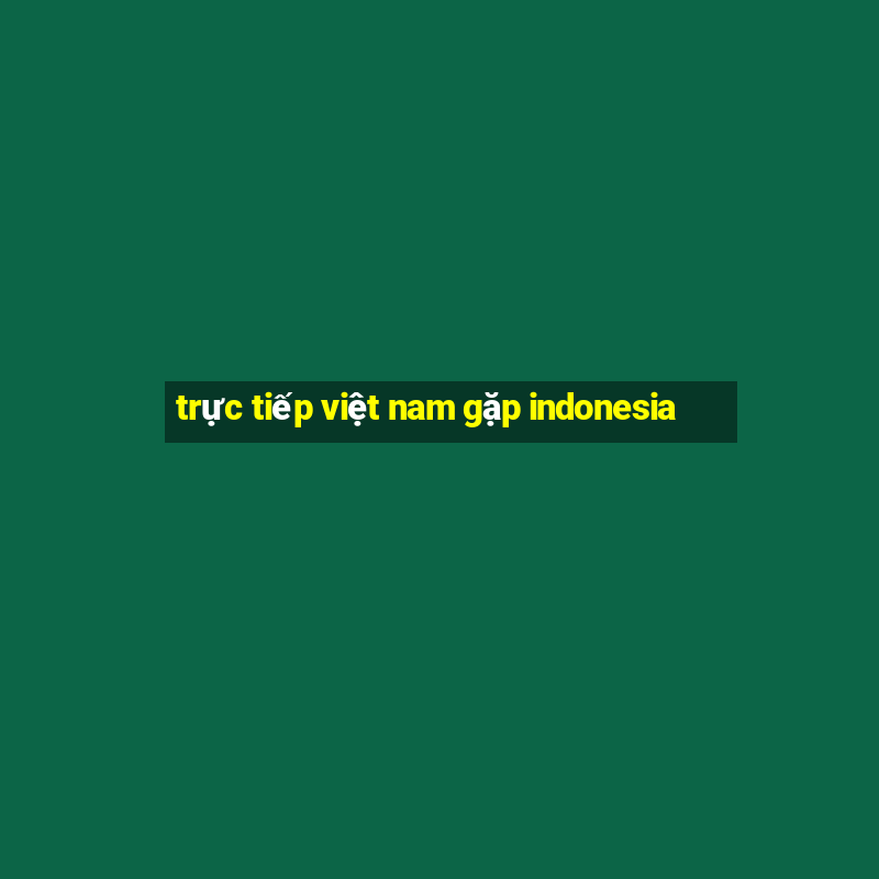 trực tiếp việt nam gặp indonesia