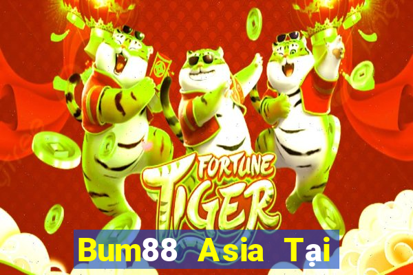 Bum88 Asia Tại Game Bài Đổi The