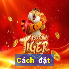 Cách đặt cược XSDTMB ngày 13