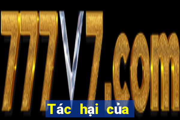 Tác hại của cờ bạc online