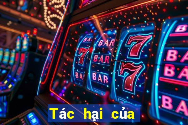 Tác hại của cờ bạc online