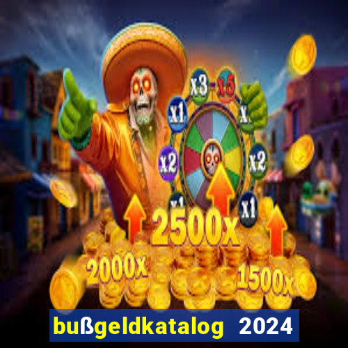 bußgeldkatalog 2024 80 euro