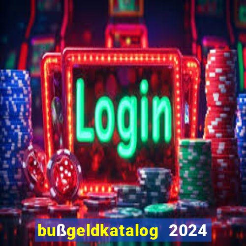 bußgeldkatalog 2024 80 euro