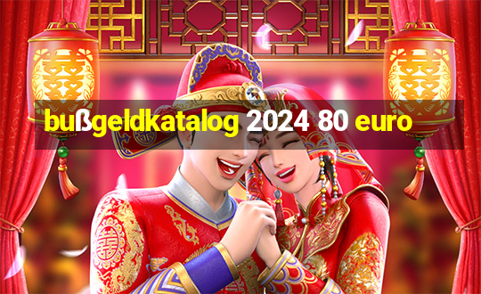 bußgeldkatalog 2024 80 euro