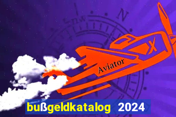 bußgeldkatalog 2024 80 euro