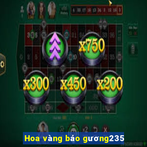 Hoa vàng báo gương235