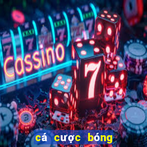 cá cược bóng đá club