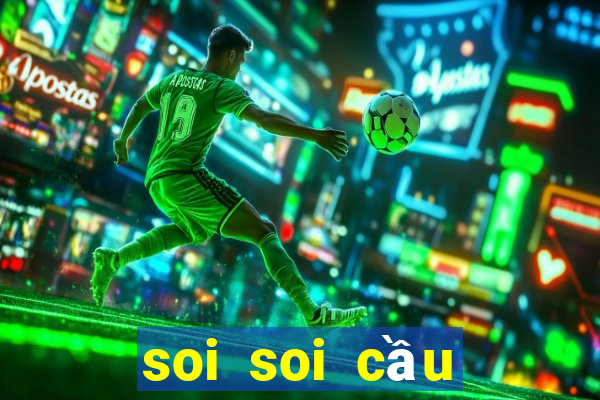 soi soi cầu miền bắc