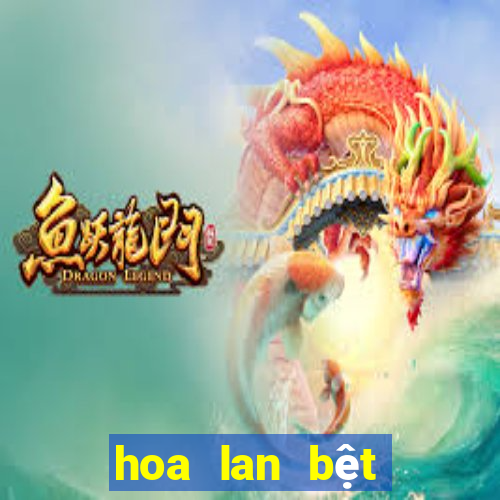 hoa lan bệt châu như