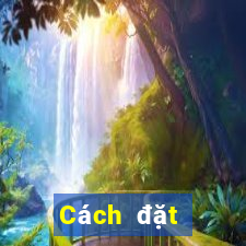 Cách đặt cược XSBTR ngày 13