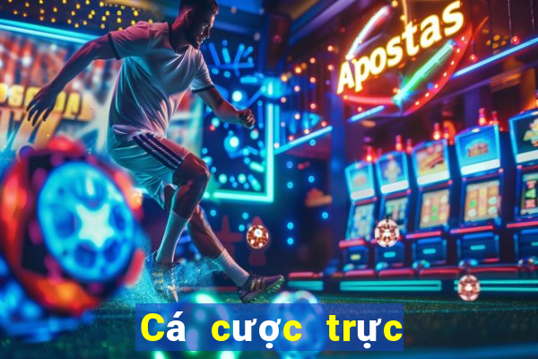 Cá cược trực tuyến 8xbet