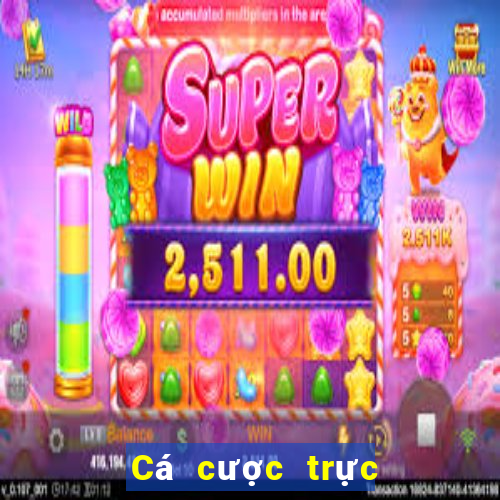 Cá cược trực tuyến 8xbet