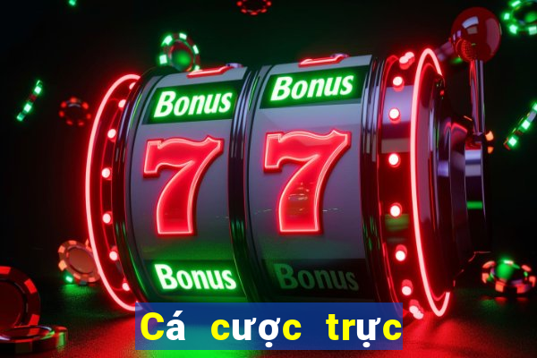 Cá cược trực tuyến 8xbet