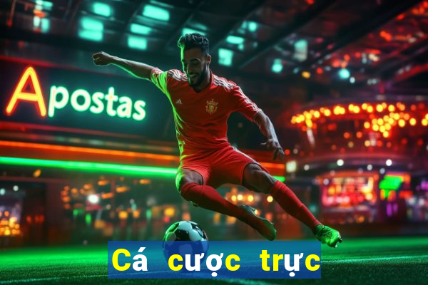 Cá cược trực tuyến 8xbet