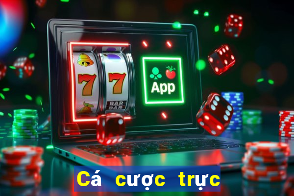 Cá cược trực tuyến 8xbet