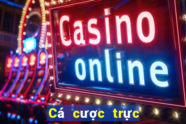 Cá cược trực tuyến 8xbet