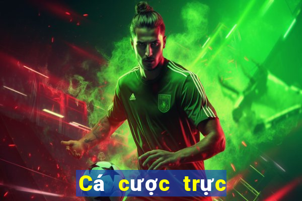 Cá cược trực tuyến 8xbet