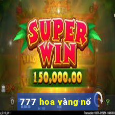 777 hoa vàng nổ