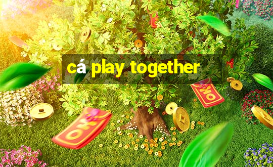 cá play together