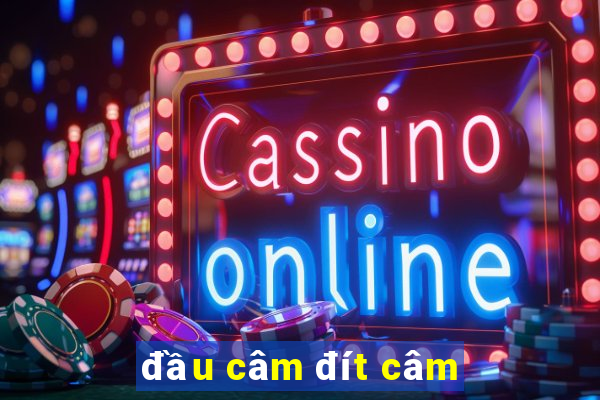 đầu câm đít câm