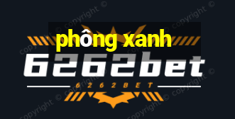 phông xanh