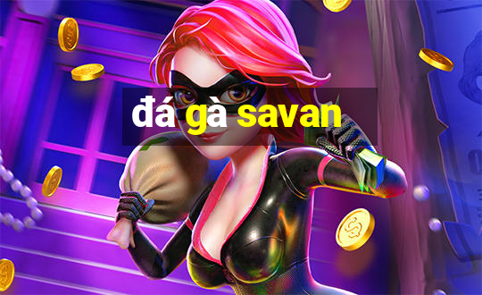 đá gà savan