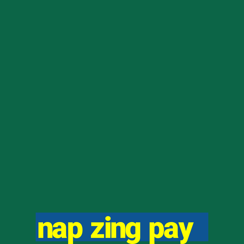 nap zing pay