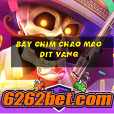 bay chim chao mao dit vang