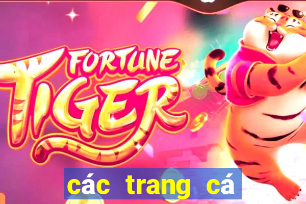 các trang cá độ uy tín