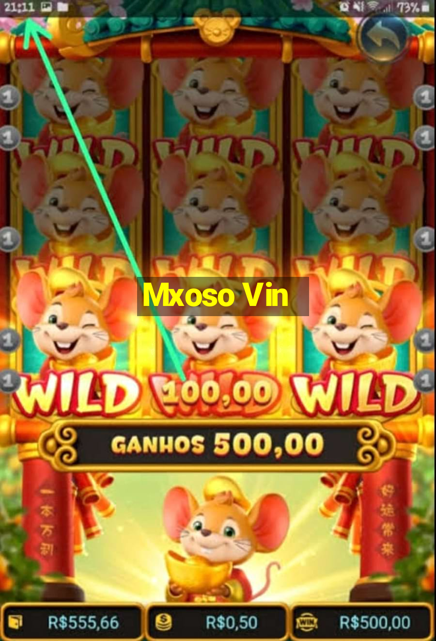 Mxoso Vin