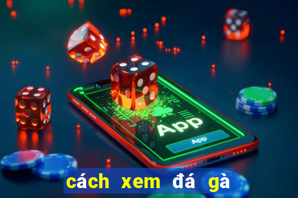 cách xem đá gà thomo trực tiếp